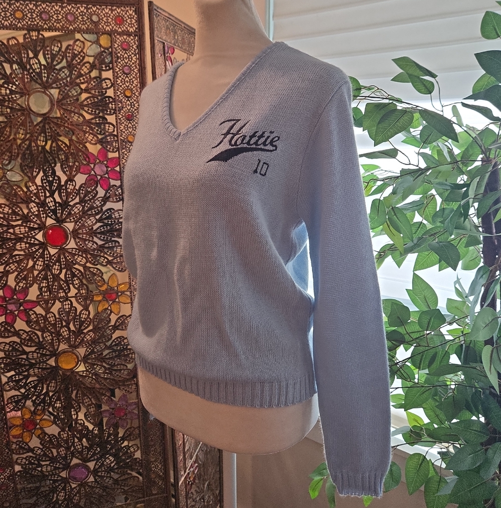 Vintage 90s Embroidered V-Neck Blue Preppy Country Club USA Sweater Women Large
